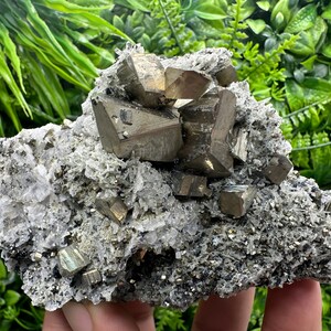 Stunning Rare crystallisation Pyrite on Quartz from Borieva mine,Madan,Bulgaria,natural minerals,souvenir crystal,home decor ,collection