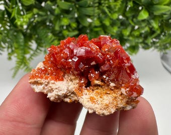 Red Vanadinite on Barite from Marocco,crystal minerals Speciment cluster Vanadinite crystal Vanadinite Geology Vanadinite cluster minerals