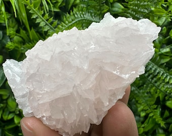 An amazing specimen of Mangano Calcite Florescent from the depths of the Rhodopes,Bulgaria/Borieva Mine/Madan/Smolyan Region/Natural mineral