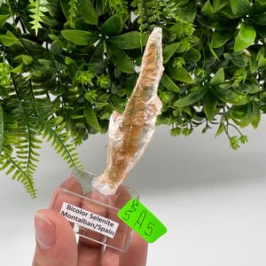 TOP QUALITY! Golden Phantom Selenite Slabs. Fishtail Selenite. Utah Raw Golden Selenite Slab / Wands. Utah Selenite. Sheet Selenite. Gift