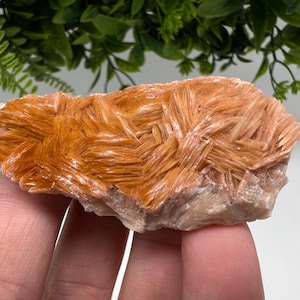 Wunderbarer Baryt mit Cerussit auf Galena aus Marokko, Bleikristall, Bleikristall,Cerussit Kristall,Kristalle, Bleikristall,