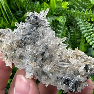 Stunning Pyrite,Sphalerite on Quartz whit iron oxide natural minerals souvenir crystal gift collection minerals Borieva mine Madan Bulgaria