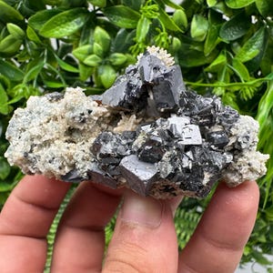 Wonderful Galena,Sphalerite,Siderite on Quartz from 9th September mine,Madan,Bulgaria,natural,collection mineral specimen,crystal,gift,decor