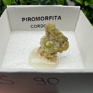 Pyromorphite Stone / Pyromorphite on Matrix / Pyromorphite Crystal / Raw Crystal / Pyromorphite Cluster / Rough Pyromorphite / Pyromorphite