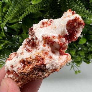Wonderful Barite whit Vanadinite,Marocco,crystal minerals Speciment cluster Vanadinite crystal Vanadinite Geology Vanadinite cluster mineral