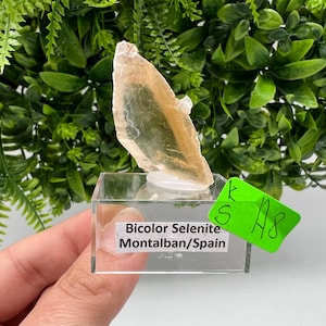 TOP QUALITY! Golden Phantom Selenite Slabs. Fishtail Selenite. Utah Raw Golden Selenite Slab / Wands. Utah Selenite. Sheet Selenite. Gift