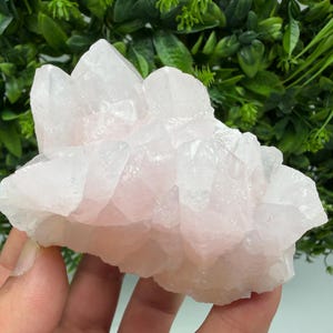 Cristal de mangano calcite réactif aux UV : mine d'Androvo, Bulgarie
