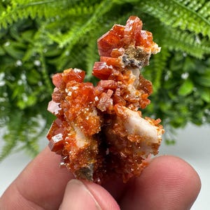 Red Vanadinite on Barite from Marocco,crystal minerals Speciment cluster Vanadinite crystal Vanadinite Geology Vanadinite cluster minerals