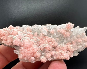 One beautiful cabinet size specimen of rhodochrosite, overgrowth by well-terminated quartz crystals Starnica mine Davidcovo area Bulgaria