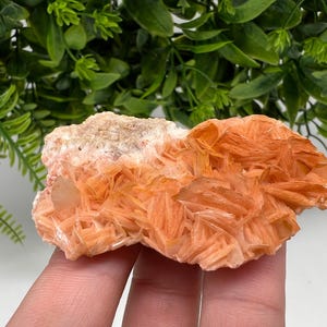 Wonderful Baryte with Cerussite on Galena from Morocco,Crystal, Mineral,Specimen,Cluster,Crystals,Barite Crystal,Cerussite Crystal,Specimen