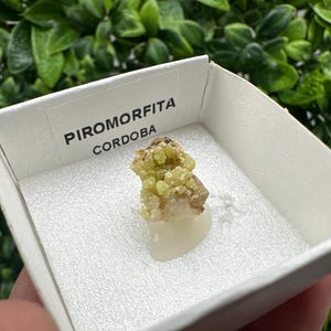 Pyromorphite Stone / Pyromorphite on Matrix / Pyromorphite Crystal / Raw Crystal / Pyromorphite Cluster / Rough Pyromorphite / Pyromorphite