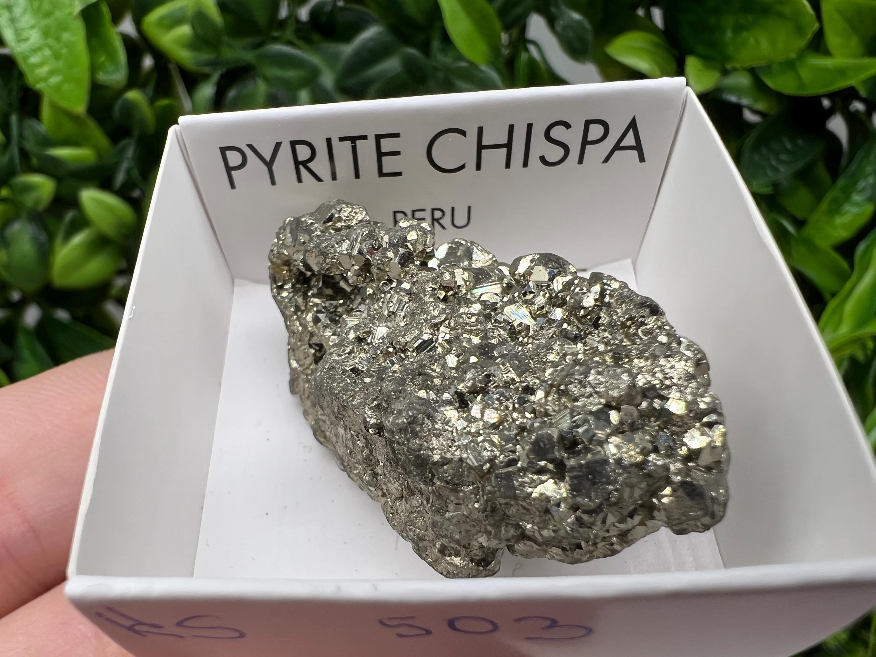 パイライト 鉱物標本21 黄鉄鉱 ペルー産 パイライト 鉱物標本21 黄鉄鉱