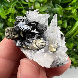 May include: A cluster of crystals featuring a combination of clear quartz, metallic pyrite, and black hematite. The pyrite has a golden, cube-like structure, while the hematite appears in dark, reflective plates. The quartz forms sharp, transparent points.