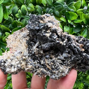Aesthetic Natural shiny Galena whit Siderite and Quartz from 9 th September mine,Bulgaria,collection specimen,rare galena,Galena cluster