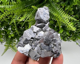 May include: A cluster of metallic gray galena crystals, showcasing a complex, angular structure. The mineral specimen is held against a backdrop of vibrant green foliage, highlighting its natural beauty. The galena's surface reflects light, creating a striking visual contrast.
