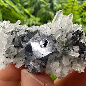 Aesthetic Shiny Galena on transparent Quartz natural minerals souvenir crystal gift homes decor stone gift minerals Borieva mine Bulgaria