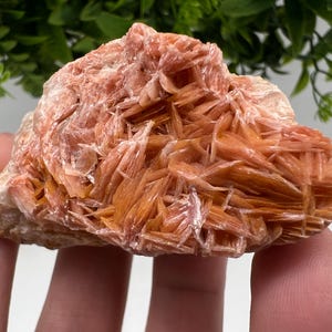 Wonderful Baryte with Cerussite on Galena from Morocco,Crystal, Mineral,Specimen,Cluster,Crystals,Barite Crystal,Cerussite Crystal,Specimen