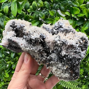 Aesthetic Natural shiny Galena whit Siderite and Quartz from 9 th September mine,Bulgaria,collection specimen,rare galena,Galena cluster
