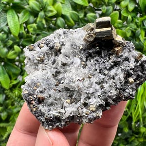 Wonderful Rainbow Pyrite on Quartz whit Oxide,natural minerals souvenir crystal,home decor,collection stone,rare minerals,Borieva Bulgaria