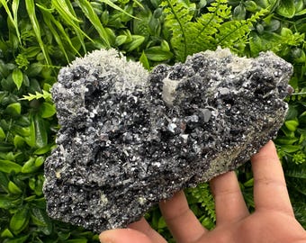 Wonderful Galena on Sphalerite and Quartz from Borieva mine,Bulgaria,galena,shiny galena,black sphalerite,collection galena,collectors spec