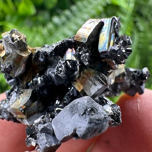 Wonderful Pyrite,hematite on Sphalerite and Galena natural minerals souvenir crystal gift collection minerals Borieva mine Bulgaria