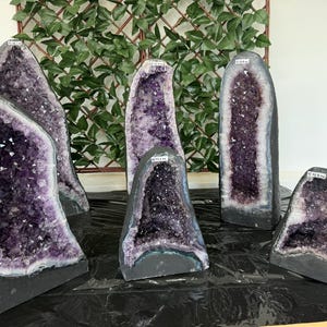 以下が含まれることがあります： 高さの異なる5つのアメジストジオード。それぞれダークグレーの外側と深い紫色の結晶の内側が特徴です。各石の標本の上端には、キログラム単位の重量測定値が記載された小さな白いラベルが貼られています。