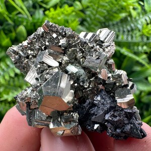 Wonderful Shiny,Golden Pyrite whit Sphalerite from Borieva mine,Bulgaria,natural,collection mineral specimen,home decor stone,crystal,gift