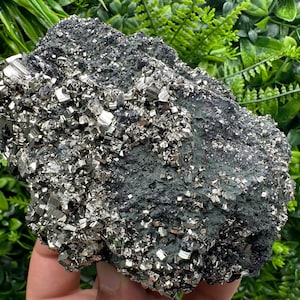 Wonderful Golden Pyrite on Sphalerite whit Chlorite,from Borieva mine,Bulgaria,natural mineral,souvenir crystal,home decor stone,collection