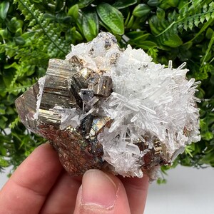 Stunning Rare crystallisation Pyrite on Quartz from Borieva mine,Madan,Bulgaria,natural minerals,souvenir crystal,home decor ,collection