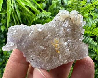 Spanish Fluorite Mineral Specimen: Crystal Collection