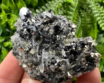 Wonderful Galena,Sphalerite,Pyrite on Quartz natural minerals souvenir crystal gift collection stone home decor Borieva mine Bulgaria