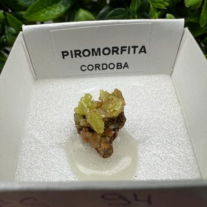 Pyromorphite Stone / Pyromorphite on Matrix / Pyromorphite Crystal / Raw Crystal / Pyromorphite Cluster / Rough Pyromorphite / Pyromorphite