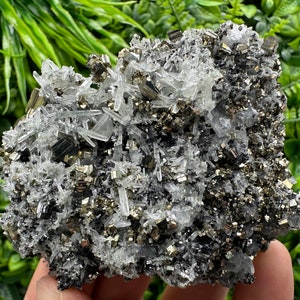 Stunning Rare crystallisation Pyrite on Quartz from Borieva mine,Madan,Bulgaria,natural minerals,souvenir crystal,home decor ,collection