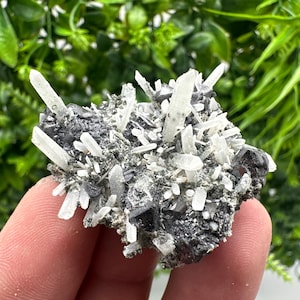 Wonderful Sphalerite on Quartz,From Borieva mine,Bulgaria,natural mineral,collection crystal,home decor stone,rare cluster,gift,souvenir