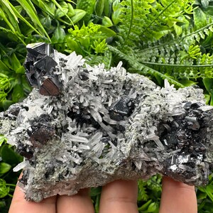 Wonderful Sphalerite on Quartz,From Borieva mine,Bulgaria,natural mineral,collection crystal,home decor stone,rare cluster,gift,souvenir