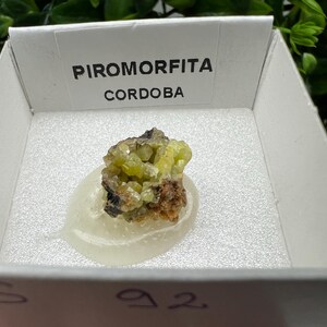 Pyromorphite Stone / Pyromorphite on Matrix / Pyromorphite Crystal / Raw Crystal / Pyromorphite Cluster / Rough Pyromorphite / Pyromorphite