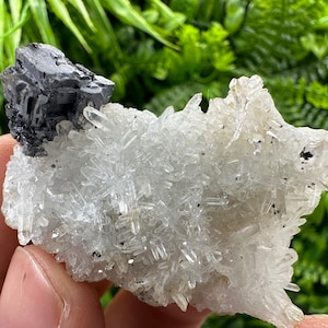 Wonderful Shiny Galena on Quartz natural minerals souvenir crystal gift collecting minerals,home decor stone 9th September mine Bulgaria