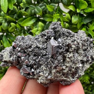 Aesthetic Sphalerite,Galena whit Chlorite from Borieva mine Madan Bulgaria natural minerals souvenir crystal gift home decor stone rock