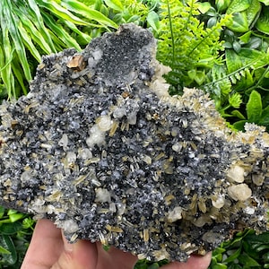 Stunning Pyrite,Galena,Calcite,Sphalerite on Quartz natural minerals souvenir crystal home decor stone,rare Crystal Borieva Bulgaria