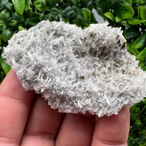 Wonderful Rainbow Pyrite on Quartz whit Oxide,natural minerals souvenir crystal,home decor,collection stone,rare minerals,Borieva Bulgaria