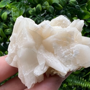 Amazing Calcite on Quartz from Djurcovo mine Laki Bulgaria natural minerals crystal gift rare minerals healing crystal Bulgaria stone