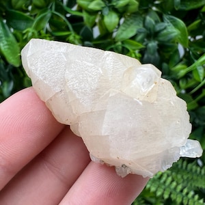 Amazing Calcite on Quartz from Djurcovo mine Laki Bulgaria natural minerals crystal gift rare minerals healing crystal Bulgaria stone