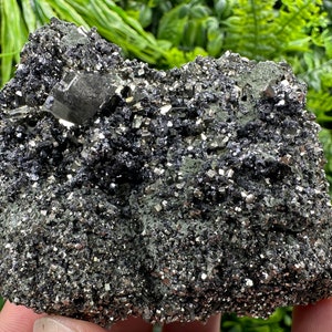 Stunning Pyrite on Sphalerite,Galena and Chlorite natural minerals souvenir crystal gift collection stone home decor Borieva Bulgaria