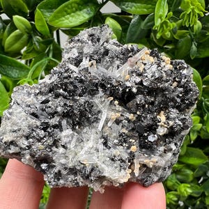 Aesthetic Natural shiny Galena whit Siderite and Quartz from 9 th September mine,Bulgaria,collection specimen,rare galena,Galena cluster