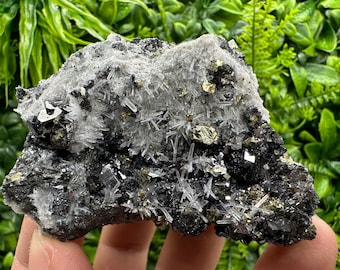 Wunderbarer Chalkopyrit Pyrit Sphalerit Galena auf Nadel Quarz feom Borieva Madan Bulgarien natürliche Mineralien Andenken Kristall Geschenk home dec