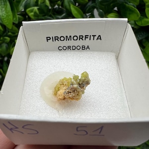 Pyromorphite Stone / Pyromorphite on Matrix / Pyromorphite Crystal / Raw Crystal / Pyromorphite Cluster / Rough Pyromorphite / Pyromorphite