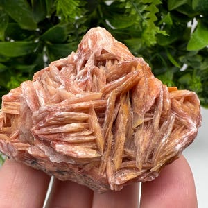 Wunderbarer Baryt mit Cerussit auf Galena aus Marokko, Bleikristall, Bleikristall,Cerussit Kristall,Kristalle, Bleikristall,