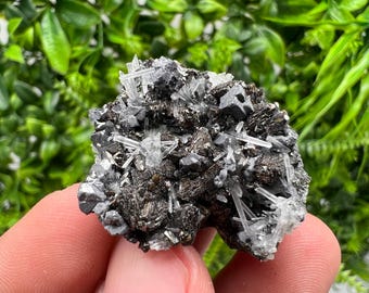 Calcite Sphalerite Galena on Quartz, Borieva Mine Mineral Specimen