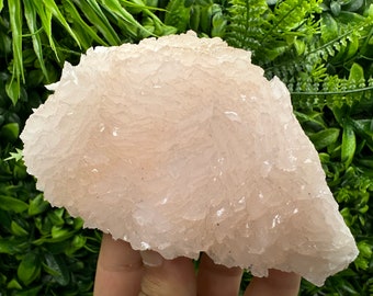 Stunning Mangano Calcite whit Galena,natural minerals souvenir crystal,collection stone,rare minerals,gift,Calcite ,Borieva mine,Bulgaria