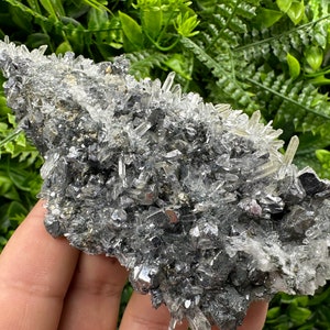 Wonderful aShiny Galena on Quartz whit Pyrite,Natural minerals souvenir Crystal home decor stone,Gift minerals,collection,Borieva Bulgaria